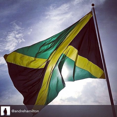 We are thankful for the best flag in the world @andrehamilton #jamaica #jamaicans #jamaican #jamaicanflag #jamaicaflag #outofmanyonline #outofmanyonepeople Jamaican Flag Wallpaper, Jamaica Flag Aesthetic, Jamaican Independence Day, Air Jamaica, Flag Of Jamaica, Pride Of Barbados, Antigua And Barbuda Flag, Jamaican Flag, Jamaica Flag