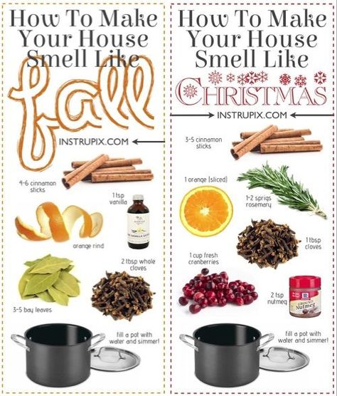 Stovetop Potpourri Recipes, Homemade Potpourri, Simmer Pot Recipes, Stove Top Potpourri, Potpourri Recipes, Simmer Pot, House Smell Good, Stovetop Potpourri, Household Cleaning Tips