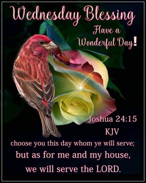 10 Scriptures & Quotes For A Blessed Wednesday Wednesday Morning Quotes, Wednesday Greetings, Labor Day Quotes, Wednesday Blessings, Morning Scripture, Blessed Wednesday, Happy Wednesday Quotes, Wednesday Quotes, Happy Morning Quotes