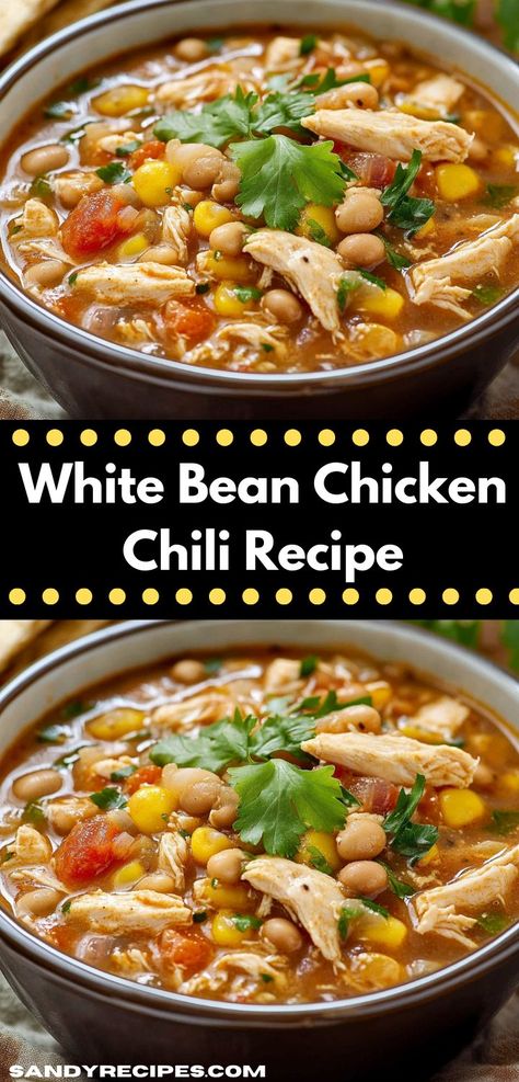 Creamy White Bean Chicken Chili, White Bean Chicken Chili Recipe, Chili Slow Cooker, White Chicken Chili Slow Cooker, White Bean Chicken Chili, White Bean Chili, Chili Recipe Crockpot, Chili Recipe Easy, Chicken Chili Recipe