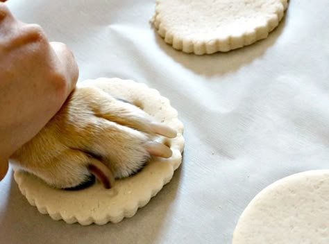 DIY Pup Paw Salt Dough Ornaments - Forks and Folly Dog Salt Dough Ornament, Diy Dog Ornaments Holidays, Diy Dough Ornaments, Dog Print Ornament, Dog Ornaments Diy, Diy Paw Print, Diy Dough, Paw Print Crafts, How To Make Salt Dough