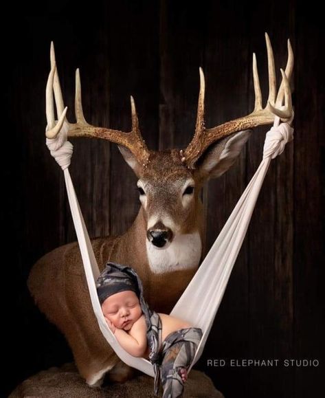 Country Baby Pictures, Deer Photography, Baby Boy Newborn Pictures, Hunting Baby, Newborn Photography Boy, Baby Pictures Newborn, Baby Boy Pictures, Western Babies, Professional Photos