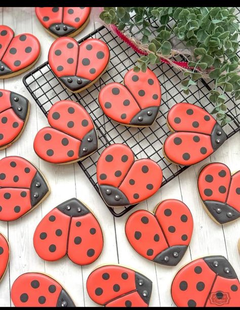 Yalda Cookies Royal Icing, Insect Cookies Decorated, Dragonfly Cookies Decorated, Bug Cookies Decorated, Ladybug Sugar Cookies, Cookie Designs Ideas, Kids Cookie Decorating, Bug Birthday Cakes, Bug Cookies