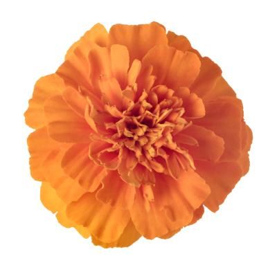 Meaning of a Marigold Flower Marigolds Tattoo, Flower Drawing Reference, October Birth Flower, Growing Marigolds, Marigold Orange, Feather Bouquet, Color Quiz, Bouquet Art, American Garden