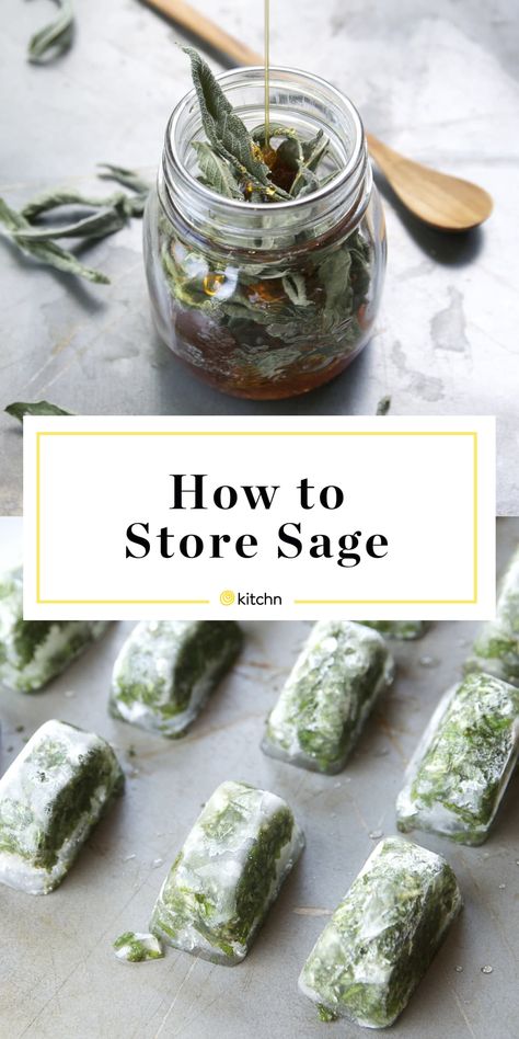 12 Creative Ways to Preserve Sage | Kitchn Storing Fresh Sage, Preserving Fresh Sage, Sage Storage, Herb Preservation, Freezing Fresh Herbs, Preserve Fresh Herbs, Sage Recipes, Roasted Vegetable Pasta, Sage Herb