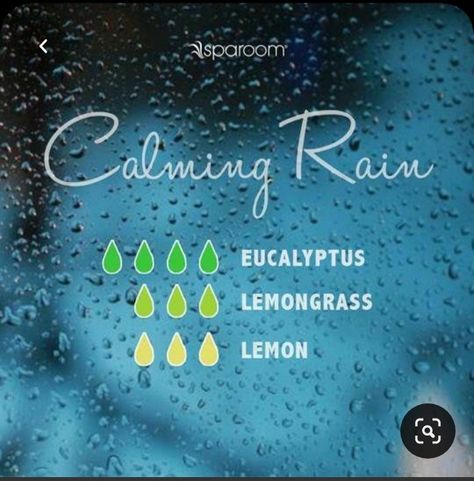 Rain Diffuser Blend, Rain Diffuser, Calming Rain, Essential Oil Combinations, Calming Essential Oils, Doterra Essential Oils Recipes, Essential Oil Diffuser Blends Recipes, Magia Das Ervas, Essential Oils Guide