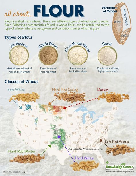 Learn all about...FLOUR with this Knowledge Center blog. Perfect for classroom learning! Learn about the structure of wheat, different types of wheat, the milling process and the different types of flour. How To Mill Wheat, How To Grow Wheat For Flour, Growing Wheat For Flour, How To Mill Flour, Milling Flour At Home, Wheat Garden, Farming Architecture, Bread Beckers, Milling Flour