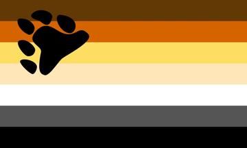 Bear Pride Flag, Bear Flag, Bear Pride, Gay Flag, Lgbtq Flags, Lgbt Flag, Color Codes, Bear Art, Personal Website