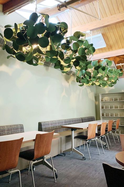 Biophilic Classroom, Biophilic Classroom Design, Modern School Library, Biophilic School Design, School Library Design Interior Modern, Biophilic Workplace Design, Biophilic Design In Hospital, Work Cafe, Design Studio Office