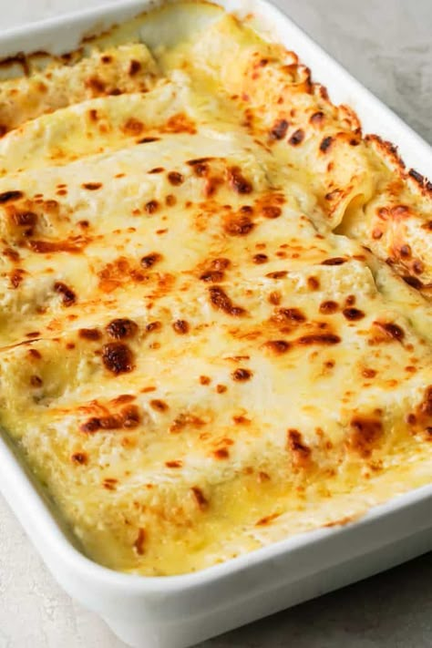 Stuffed Cannelloni Pasta White Sauce, Cannelloni Pasta Bake, Cannelloni Recipes Vegetarian, Cannoli Bolognese, Cheese Cannelloni Recipes, Shrimp Cannelloni Recipes, Stuffed Shells With Bechamel Sauce, Bechamel Pasta Recipes, Recipes With Bechamel Sauce