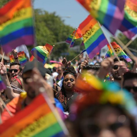 Gay Aesthetic, New York Museums, Pride Parade, Historical Society