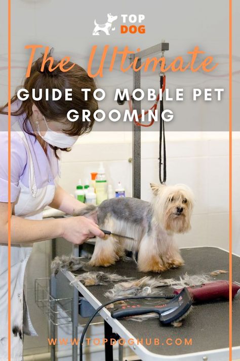 Dog Grooming Diy, Dog Tools, Pet Grooming Business, Mobile Pet Grooming, Grooming Hacks, Dog Walking Business, Dog Grooming Salons, Dog Haircuts, Dog Salon