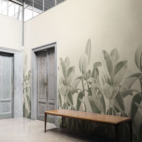 Washable Wallpaper, Look Wallpaper, Rubber Plant, Wall Paint Designs, Plant Wallpaper, Wallpaper Calculator, Kandy, Stunning Wallpapers, Acoustic Panels