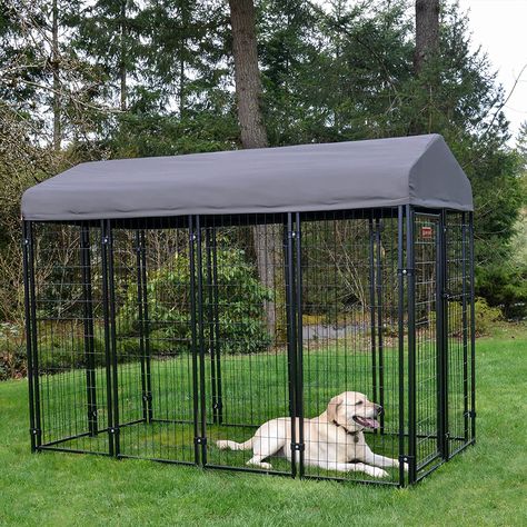 Dog Pen, Dog Kennel Outdoor, Steel Roofing, Lucky Dog, Sleek Style, Cover Gray, Outdoor Dog, Steel Grey, Dog Kennel