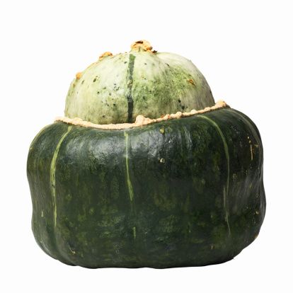 Buttercup squash is a variety of Cucurbita maxima, or winter squash, native to parts of North America. About 10 to 20 pounds, this medium-sized fruit appears along several... Squash Types, How To Cook Squash, Buttercup Squash, Bartlett Pears, Squash Seeds, Ground Chicken Recipes, Squash Salad, Squash Soup, Winter Squash