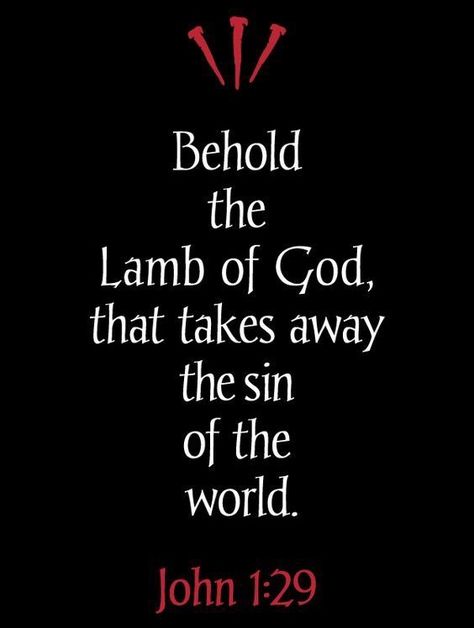 John 1:29 John 1 29, Behold The Lamb Of God, Christianity Quotes, Christian Study, The Lamb Of God, Christian Studies, Bible Truths, Bible Book, Lamb Of God