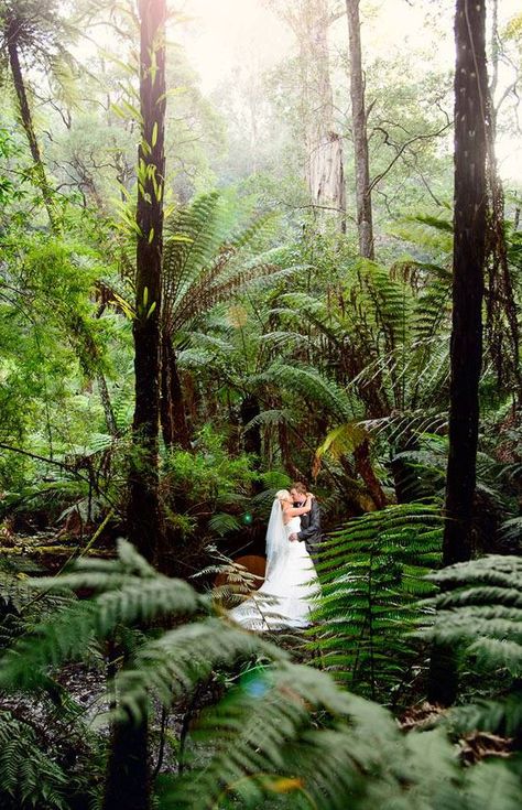 Wedding Venues Yarra Valley / Dandenong Ranges Lyrebird Falls Receptions Autumn Reception, Preparing For Marriage, Victoria Wedding, Yarra Valley, Wedding Venue Decorations, Melbourne Wedding, Beautiful Wedding Venues, Oregon Wedding, Trendy Wedding