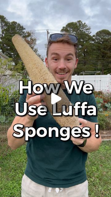 Philip Longo | Gardening & Homesteading Coach on Instagram: "READ BELOW! 👇🏼  How We use our Luffa Sponges!  We get so many questions on this…YES, we sell the seeds and sponges & They are available on Etsy. Follow our profile description!  . . . .  #growyourownfood #harvest #zone7b #zone8a #organicgardening #homestead #mygarden #homegrown #backyardgarden #growyourown #earthnailsandtails #luffa #luffasponge #luffasoap #loofah #loofahsoap #loofahsponge #luffaseeds #loofahseeds #luffaharvest #luffapeeling #loofahpeeling #loofahharvest" Luffa Companion Planting, Luffa Sponge Diy, How To Grow Loofah Plants, Growing Loofah From Seed, Loofah Trellis Ideas, Loofah Garden, Growing Loofahs, Growing Loofah, Homemade Loofah Soap