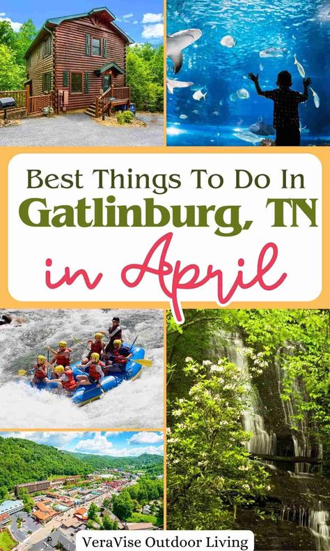 Spring has come, and it’s time to go outside! Find out the best things to do in Gatlinburg in April in this Gatlinburg vacation guide. Gatlinburg Fall, Things To Do In Gatlinburg, Gatlinburg Vacation, Spring Break Vacations, Spring Break Destinations, Tennessee Travel, Tennessee Vacation, Gatlinburg Tennessee, Gatlinburg Tn