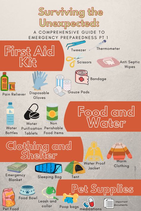 What To Pack For Emergency Evacuation, Go Bag For Car, Apocalypse Bag Essentials, Emergency Packing List, Homeless Hacks, Emergency Kit For Home, Go Bag Emergency, Emergency Bag Essentials, Stock Organization