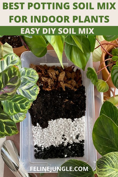 Best Potting Soil Mix for Indoor Plants | Easy DIY Soil Mix Soil Mix For Indoor Plants, Soil For Indoor Plants, Indoor Tropical Plants, Types Of Houseplants, Low Water Gardening, Compost Soil, Tropical House Plants, Plant Care Houseplant, Plant Parent