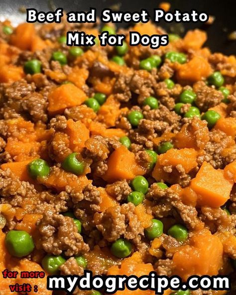 Homemade dog food recipes | Beef and Sweet Potato Mix for Dogs 🥩🍠 | Facebook Ground Beef Dog Food Recipes, Dog Food Recipes Beef, Dog Gravy Recipe, Food Recipes Beef, Dog Gravy, Beef And Sweet Potato, Mashed Sweet Potato, Recipes Using Ground Beef, Animal Food