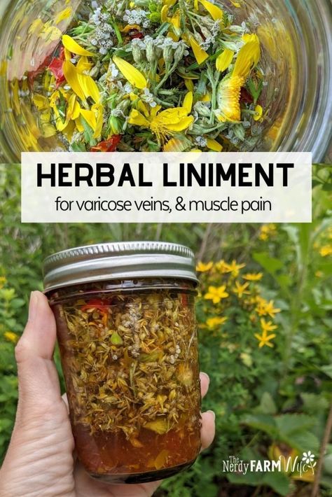 Learn to make an all-natural witch hazel + herbal liniment can be used for varicose veins, muscle pains, strains and aches. Botanical Medicine, Witches Apothecary, Arnica Salve, Herb Tinctures, Tinctures Recipes, Herbal Medicine Recipes, Herbal Remedies Recipes, Holistic Recipes, Medical Herbs