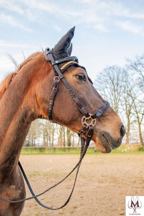 Hackamore Zoe Bridle Fra, Bitless Hackamore Bridle. - Etsy Denmark Bit Less Bridle, Western Hackamore, Hackamore Bridle, Bitless Bridle, Riding Clothes, Horse Riding Clothes, Riding Outfit, Horse Tack, Horse Art