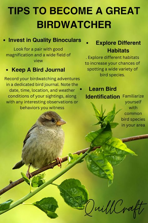 🐦✨ Ready to spread your wings and dive into the world of birdwatching? 🌿🔍 Discover essential tips to kickstart your avian adventures and capture every moment in one of our beautiful bird journals. 📔🌺 Let's soar together! #BirdwatchingTips #NatureJournal #ExploreOutdoors Bird Watching Aesthetic, Bird Watching Journal, Wings Song, Backyard Birds Watching, Gifts For Bird Lovers, Birding Journal, Journal Cute, Bird Quotes, Nature Journaling