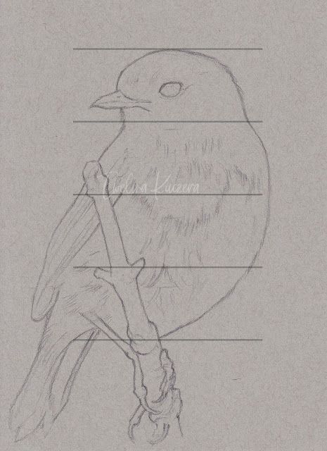 Bird Sketch Tutorial, Bird Sketch Realistic, Draw With Colored Pencils, Bird Drawing Easy, Orange Portrait, Simple Bird Drawing, Shading Pencil, Robin Drawing, Bird Pencil Drawing