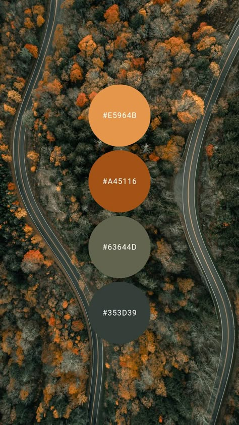 Fall Inspired Color Palette, Fall Complimentary Colors, Burnt Orange Kitchen Ideas, Rust Orange Bedroom Walls, Orange And Sage Color Palette, Sage Rust Color Palette, Olive And Orange Color Scheme, Sage Green And Rust Color Palettes, Rust Yellow Color Palette