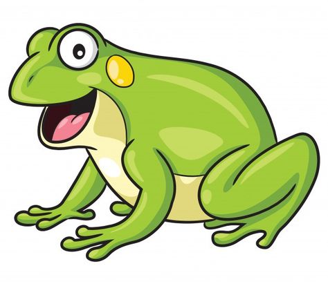 Frog Cartoon Images, Frog Animated, Nature Character, Frog Cartoon, Frog Stuff, Book Costumes, Cartoon Frog, Animal Flashcards, Feeling Thankful