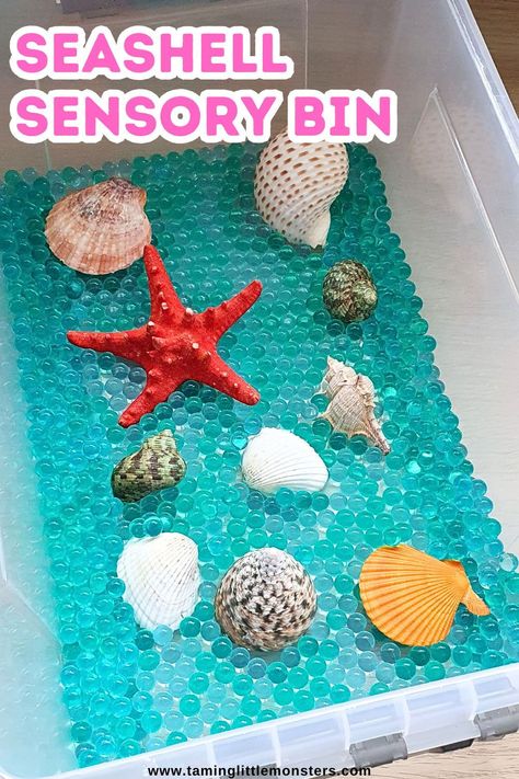 Easy Seashell Sensory Bin for Kids.    This is a fun sensory activity for kids to play with this Summer.    #summer #sensory #preschool #kindergarten Summer Sensory Bin Preschool, Beach Lesson Plans Preschool, Toddler Experiments, Sensory Bins For Kindergarten, Sensory Kindergarten, Summer Sensory Activities, Beach Sensory Bin, Summer Sensory Bin, Sensory Preschool