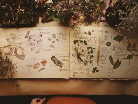 my Guide to life on Earth :: Behance Botanical Sketchbook, Citation Art, Nature Journaling, Plant Journal, Nature Sketch, Nature Artists, Art Appliqué, Life On Earth, Sketchbook Ideas