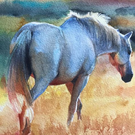 Emily Olson on Instagram: “Watercolor on Arches 140lb rough press. #watercolor #watercolour #aquarelle #horsepainting #watercolorhorse #watercolorartist #whitehorse…” Foal Horse, Watercolor Horse Painting, Horse Watercolor, Golden Fields, Baby Animal Art, Painted Horses, Wall White, Animal Art Prints, Watercolor Horse