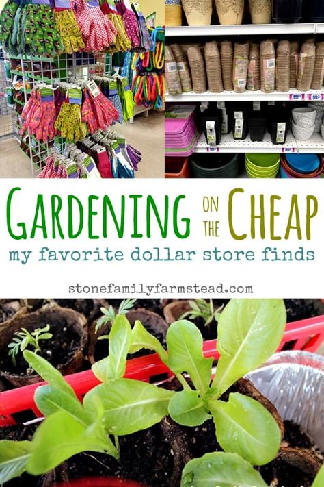 Gardening on the Cheap: My Favorite Dollar Store Finds - Stone Family Farmstead Garden Hack Ideas, Dollar Store Finds, Vegetable Garden Raised Beds, Cheap Backyard, Garden Ideas Cheap, School Garden, Wildflower Garden, Seasonal Garden, Dollar Store Diy