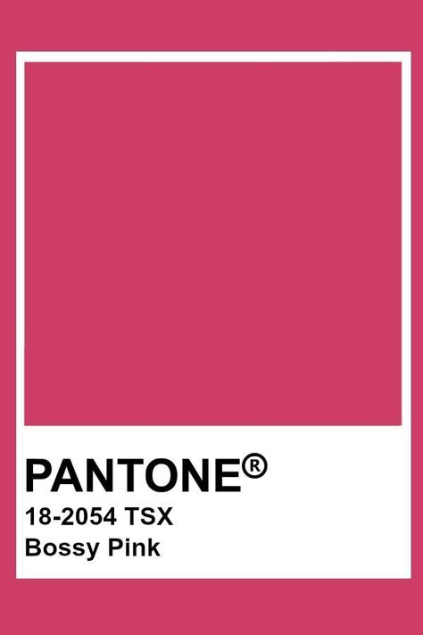 What are the key colour trends in 2025 according to Pantone. #BossyPink #Pantone #18-2054TSX Dark Pink Pantone, Hot Pink Pantone, Pantone Rosa, Pink Pantone, Pantone Color Chart, Pantone Palette, Pantone Colour Palettes, Interior Design Courses, Corner Cupboard