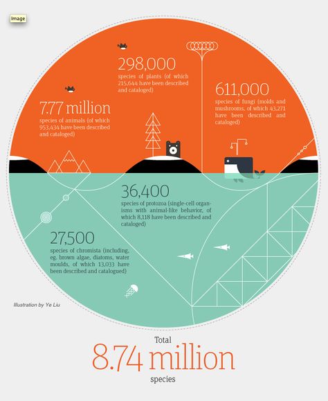 Planet Earth Infographic | Flickr - Photo Sharing! Ocean Infographic, Earth Infographic, Geometric Infographic, Gfx Design, Data Visualization Design, Infographic Design Layout, Data Visualisation, Info Graphics, Geometric Inspiration