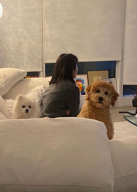 Evelyn And Erica, Hj Evelyn, Evelyn Ha, Ideas Style, Home Ideas, Style Inspiration, Apartment, Dogs