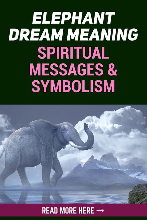 Elephants are symbols of honor, tenacity, stability, power, and strength. Seeing elephants in dreams can signify different things. Dreams are fascinating phenomena because they are products of our unconscious minds, and they give a glimpse of what can happen in our waking life. Elephant Meaning, Dream Meaning, Small Elephant, Dream Meanings, Spiritual Messages, Spiritual Meaning, An Elephant, Second Baby, Circle Of Life