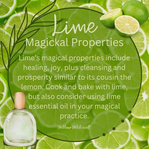 Herbs For Protection, Witchy Kitchen, Kitchen Witch Recipes, Magickal Herbs, Plant Magic, Witch Spirituality, Witch Garden, Lime Essential Oil, Kitchen Witchery