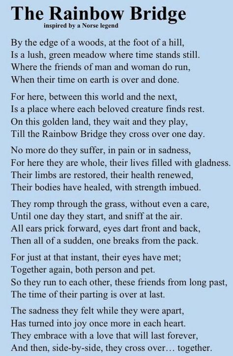 Guardian Bells, Norse Legend, Love Unconditionally, Dog Poems, Bird Quotes, Kissing In The Rain, Dog Heaven, Dogs Love, Pet Bird