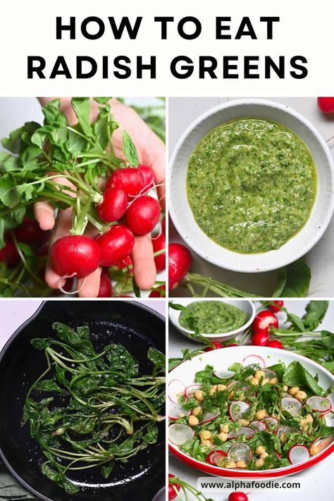 How to prepare, store, and how to eat radish greens to avoid waste, complete with 3 easy radish greens recipes + other top serving suggestions! Radish Tops Recipes, Radish Microgreens Recipe, Cooked Radish Recipes, Radish Greens Recipes, What To Do With Radishes, Recipes With Radishes, Radish Tops, Scrappy Cooking, Microgreens Recipe