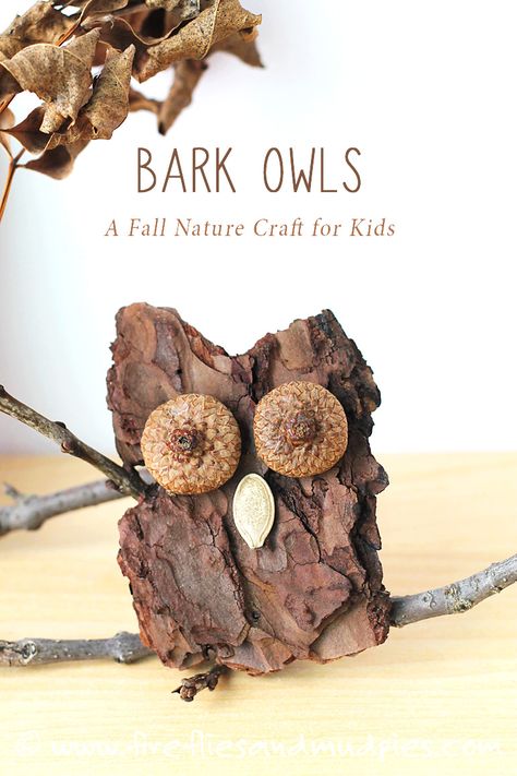 Bark Owls: A Fall Nature Craft for Kids. Carefully chip the bark into shape of owl.  Glue on 2 acorn tops for eyes and pumpkin seed for beak. Mud Pies, Nature Craft, Fall Nature, Owl Crafts, Fall Crafts Diy, Fall Crafts For Kids, Autumn Crafts, Autumn Nature, Crafts For Kids To Make