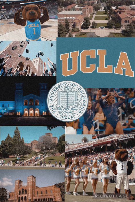 Ucla Wallpaper Iphone, Ucla Wallpaper Aesthetic, Ucla Acceptance, Uc Berkeley Aesthetic Wallpaper, Ucla Football Wallpaper, Ucla Wallpaper, Ucla Campus Aesthetic, Ucla Student Life, Ucla Poster