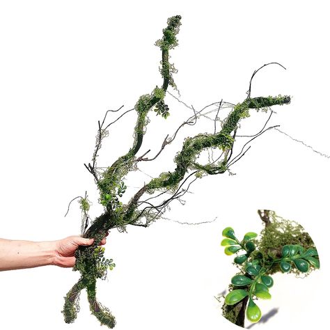 PRICES MAY VARY. Size and Package: 2pcs of artificialTwig Vines are bend and shipped with box. Total length from end to end is abut 110cm/43 inches, Each faux Vine has 3 branches and all over are covered with soft and vivid moss. 2 small grass plants are attached on the main branch. Feature: We closely resemble the real plant and the tree bark surface and the pattern of real vines, which is more vivid and natural. Fake moss attached tree bark, real touch and lifelike. There is iron wire inside s Hanging Table Decor, Moss Halloween Decor, Fake Tree In Bedroom, Swamp Theme Decorations, Greenery Decor Home, Diy Enchanted Forest Decor, Hanging Decorations From Ceiling, Enchanted Forest Home Decor, Mossy Decor