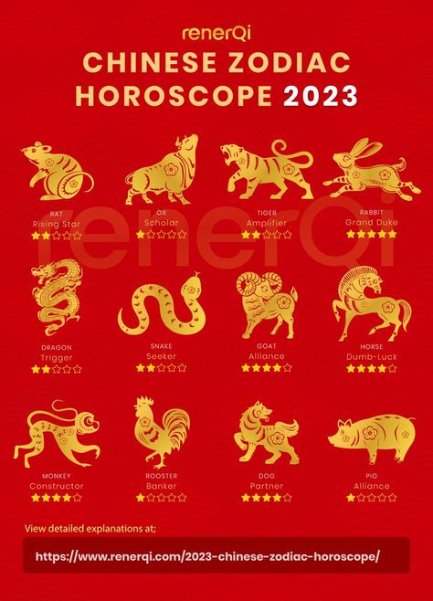 2023 Chinese Zodiac 12 animals forecast Chinese New Year Traditions Good Luck, 2023 Year Of The Water Rabbit, Chinese Astrology 2023, Water Rooster Zodiac, Chinese Calendar 2023, Water Rabbit Chinese Zodiac, Chinese Horoscope 2023, Chinese Year 2023, Horoscope For 2023