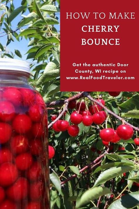 Save this recipe for Cherry Bounce from Door County to Pinterest. Cherry Bounce Recipe With Honey, Cherry Bounce Recipe Whiskey, Door County Cherry Recipes, Cherry Bounce Recipe, Cherries Recipes, Cherry Bounce, Cherry Salsa, Adult Beverages Recipes, Homemade Goods