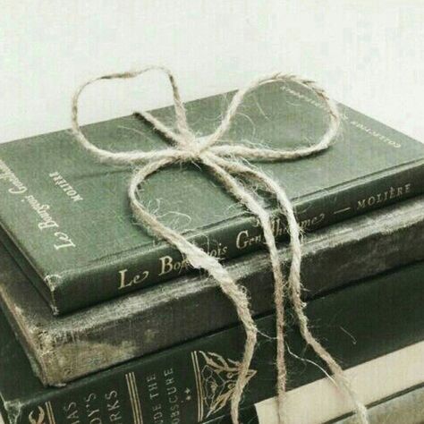 Books are the gifts that keep on giving. (Photo by: @aminoapps) Scorpius Malfoy, Stile Harry Potter, Slytherin Pride, Neville Longbottom, Barbara Gordon, Slytherin House, Slytherin Aesthetic, Anne Shirley, Anne With An E