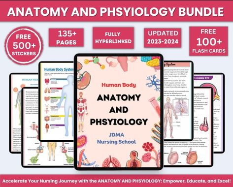 Anatomy & Physiology Bundle with Flashcards and Stickers | Anatomy Study Guide | Nursing School Notes | Medical Notes | Instant Download PDF Anatomy And Physiology Notes Study, Physiology Flashcards, Anatomy And Physiology Notes, Physiology Notes, Anatomy Flashcards, Notes Study, Nursing Study Guide, High School Biology, Human Body Anatomy